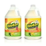 OdoBan Disinfectant Concentrate and Odor Eliminator, Citrus Scent, 2 Gallon Pack