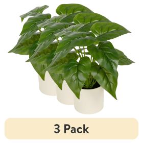 (3 pack) 10-inch x 4-inch Artificial Philodendron Leaf Plant in White Pot, Green, for Indoor Use, by Mainstays