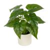(3 pack) 10-inch x 4-inch Artificial Philodendron Leaf Plant in White Pot, Green, for Indoor Use, by Mainstays