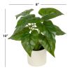 (3 pack) 10-inch x 4-inch Artificial Philodendron Leaf Plant in White Pot, Green, for Indoor Use, by Mainstays